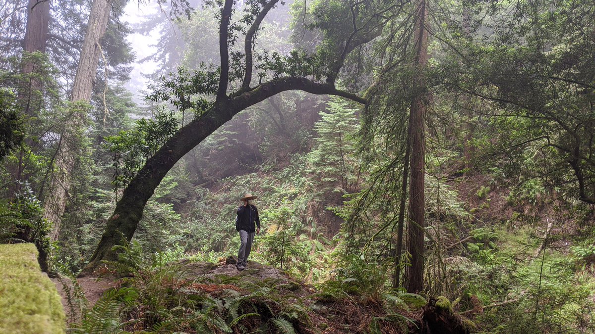 AhmedReza's tweet photo. I’m so grateful to live in #siliconvalley despite its quirks. A quick drive away is awe inspiring, beautiful natural hikes! It’s like a different world right in your backyard. I highly recommend all #startup folks to just get away periodically, especially now &amp; appreciate it. https://t.co/d1BKBGxteK