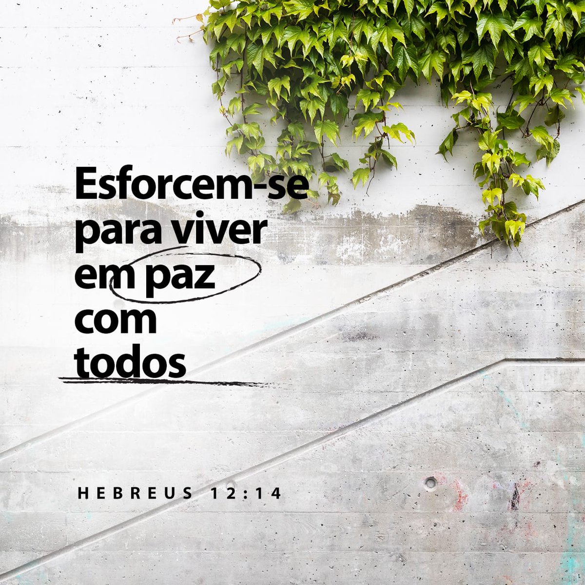 Osmindo's tweet image. Procurem ter paz com todos e se esforcem para viver uma vida completamente dedicada ao Senhor, pois sem isso ninguém o verá.
Hebreus 12:14 NTLH
bible.com/verse-of-the-d…