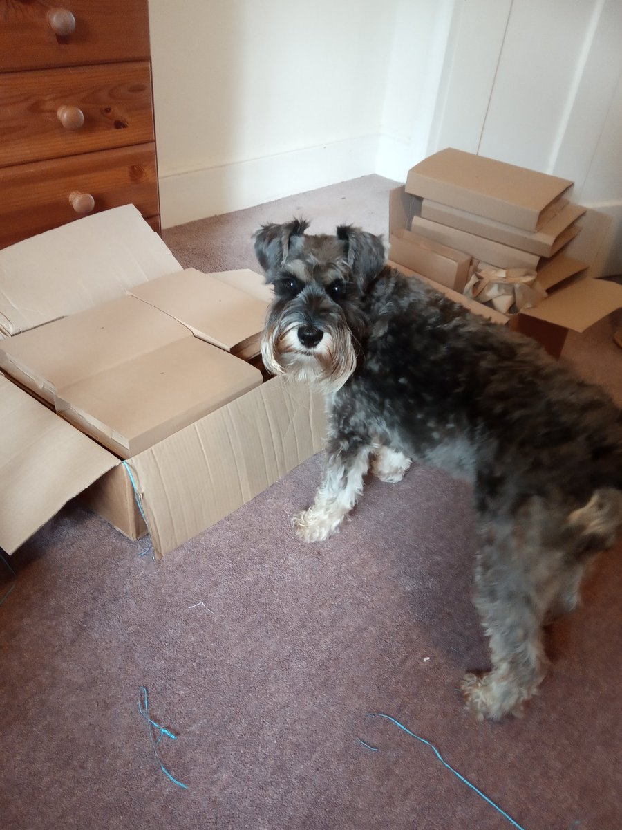 Guillemot Press tweet media