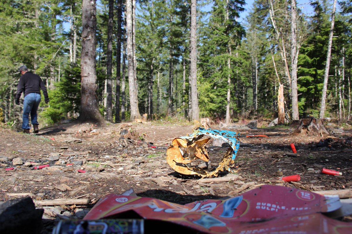 Forest Service NW tweet media