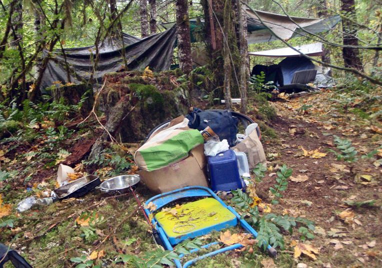 Forest Service NW tweet media
