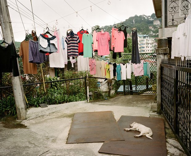 Nikita Bier tweet media