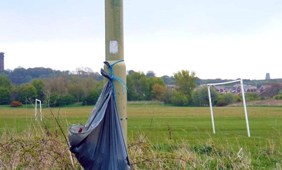 A massive 642 bags of rubbish removed from the park during lock down by dedicated rangers this isn't including fly tipping and extras. Mostly from the bags we provide on the lampposts but there has been a rise in littering, and leaving disposable bbqs in bushes 😢