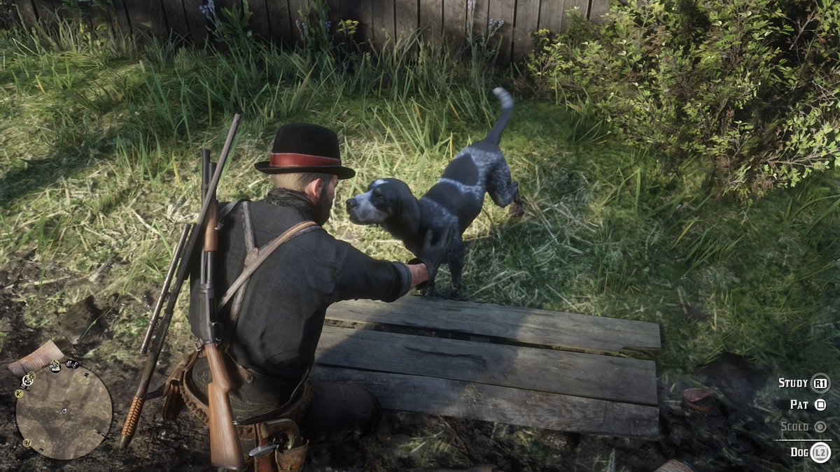 LeifwJ's tweet photo. Sources confirm petting dogs is an essential  mechanic #reddeadredemption2 #Rdr2 https://t.co/EeWyAP0CmM