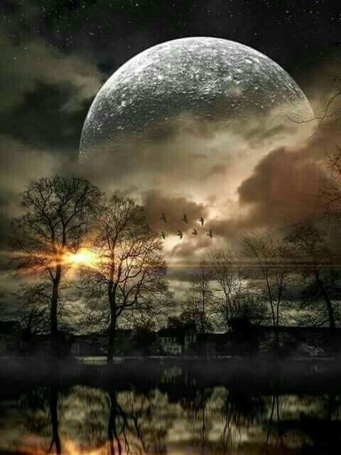 Dominiquepucini's tweet photo. A dreamer is one who can only find his way by moonlight, and his punishment is that he sees the dawn before the rest of the world.”
#OscarWilde  Good Night 😴 https://t.co/o4b3d56GDH
