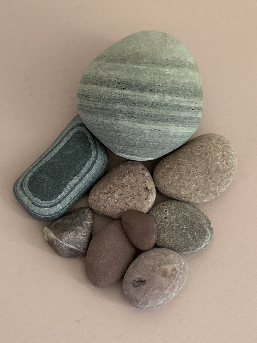 LindyLouMac's tweet photo. All collected recently from Tywyn beach, these pebbles are so smooth after maybe thousands of years in the sea. #fmsphotoaday #fms_smooth #pebbles #smooth #stilllife #pebbleart #pebblecollection #tywynbeach https://t.co/yxcYD24s9i