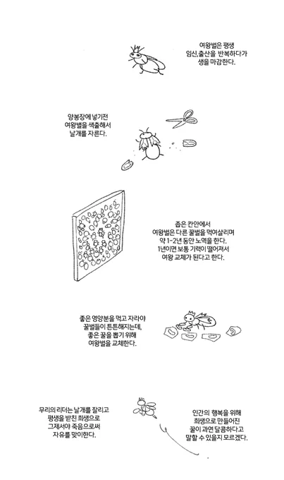 여왕벌 