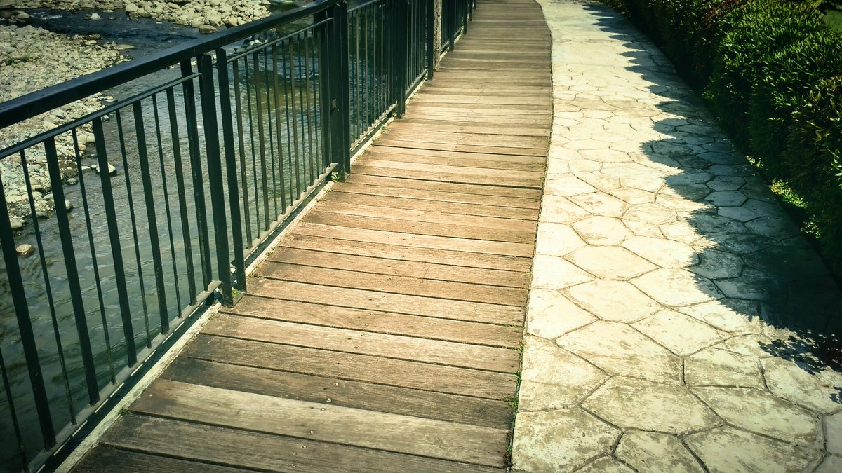 Si__Rendy's tweet photo. (17.7 - one day trip)(7)
..in "Puncak Bogor-west Java"..
.."Chimori"..
..sceneries..
#photo #photography 
         🌿🌷🌳
..stay safe..
..stay healthy and..
..goodnight..everyone..☕🌃 https://t.co/j3L7H1WA7a