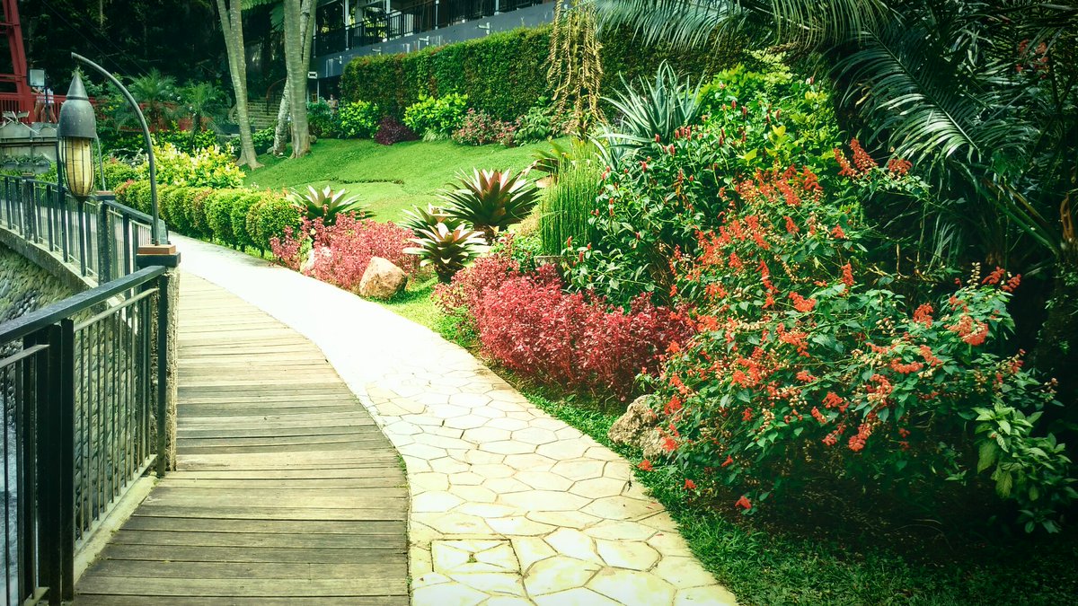 Si__Rendy's tweet photo. (17.7 - one day trip)(7)
..in "Puncak Bogor-west Java"..
.."Chimori"..
..sceneries..
#photo #photography 
         🌿🌷🌳
..stay safe..
..stay healthy and..
..goodnight..everyone..☕🌃 https://t.co/j3L7H1WA7a