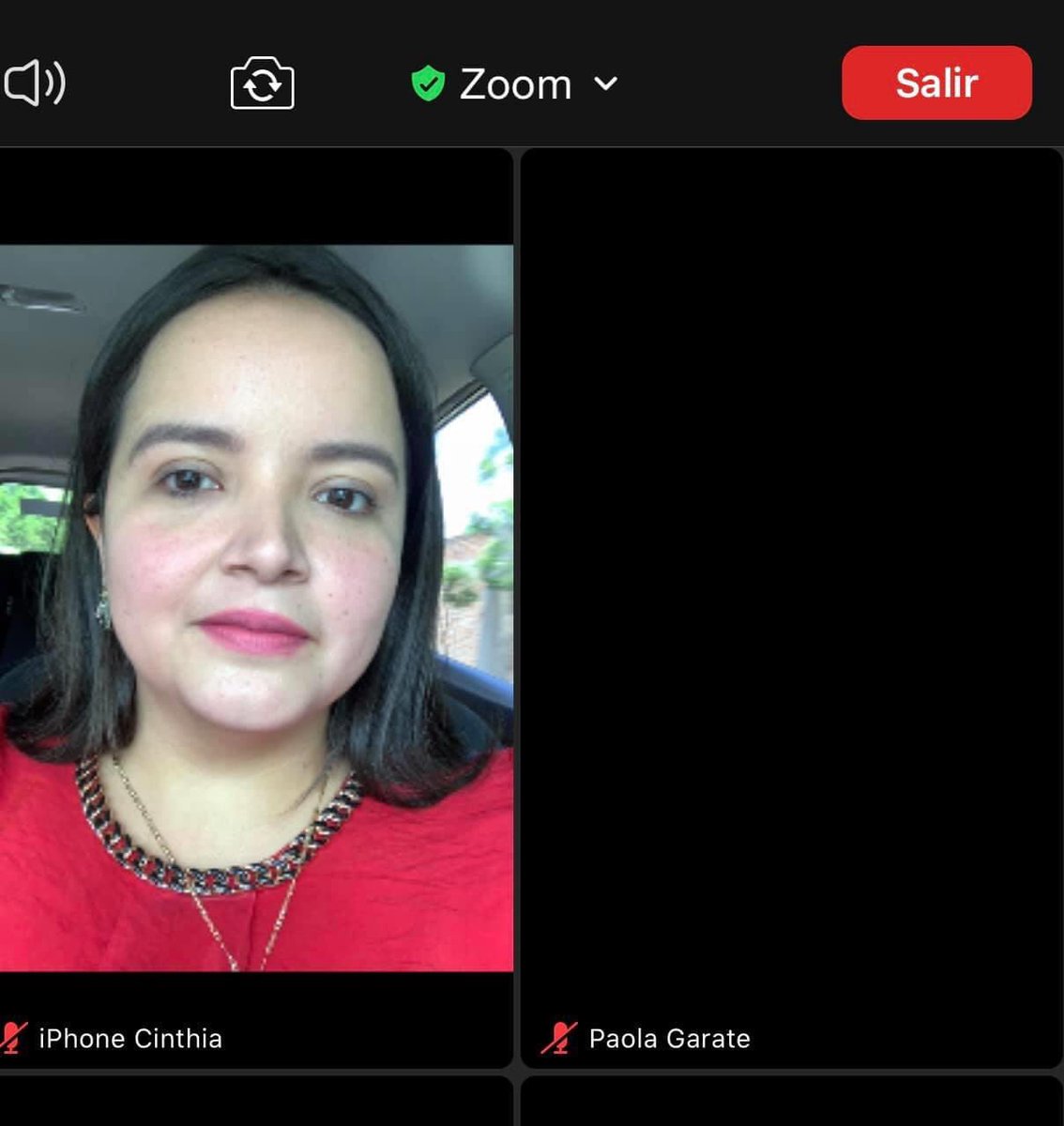 CinthiaVL's tweet photo. Desde carretera, presentes en la última clase de las y los alumnos de la Escuela de Cuadros, con el tema: “Gobernar la ciudad desde la calle”. Gracias por la invitación amigos @PaolaGarateV y @C_Tafo. #IRHSinaloa #PRISinaloa @ChuyValdesP https://t.co/aP7r2bpBxB