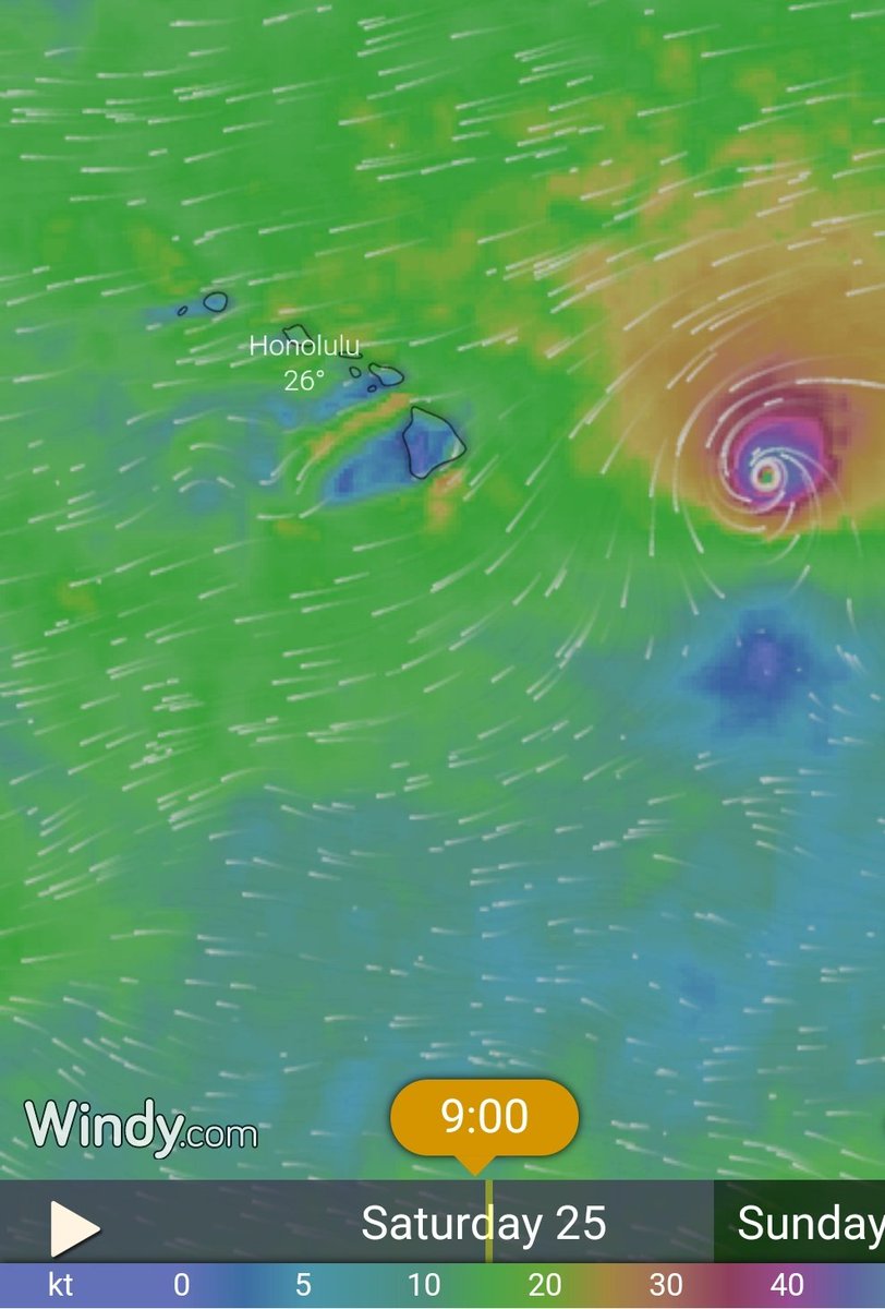 MyKakaako's tweet photo. Captured from https://t.co/QCoDDV9bKS Saturday 7/25/2020 #HurricaneDouglas #hiwx #hurricane #severeweather #Hawaii #windy #Honolulu #Oahu https://t.co/40rgUQrvWI