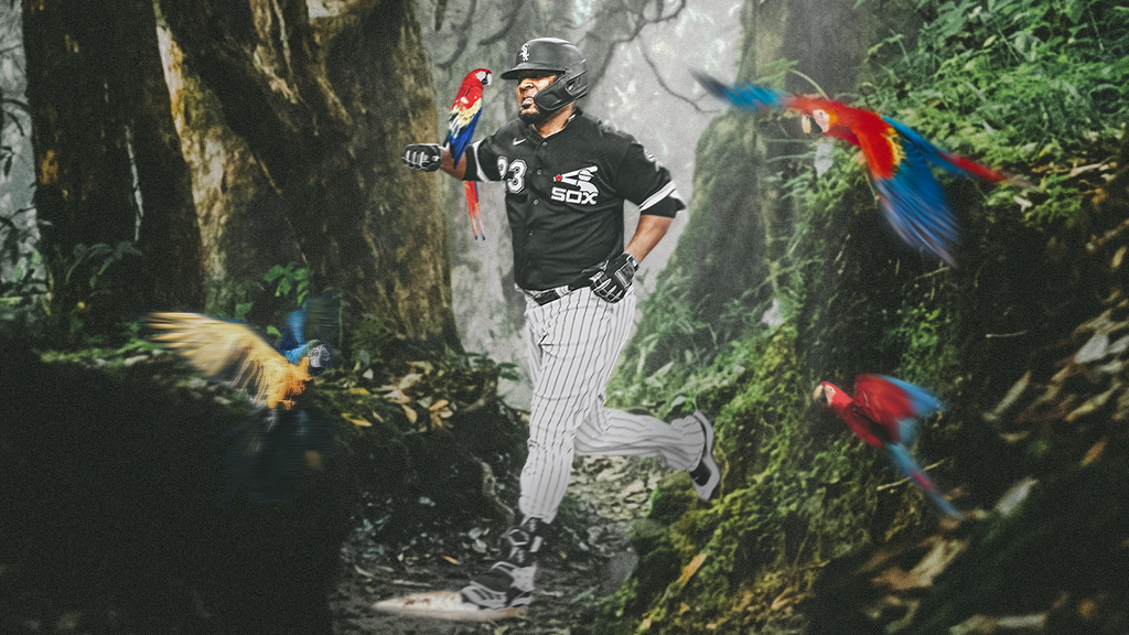 Chicago White Sox tweet media