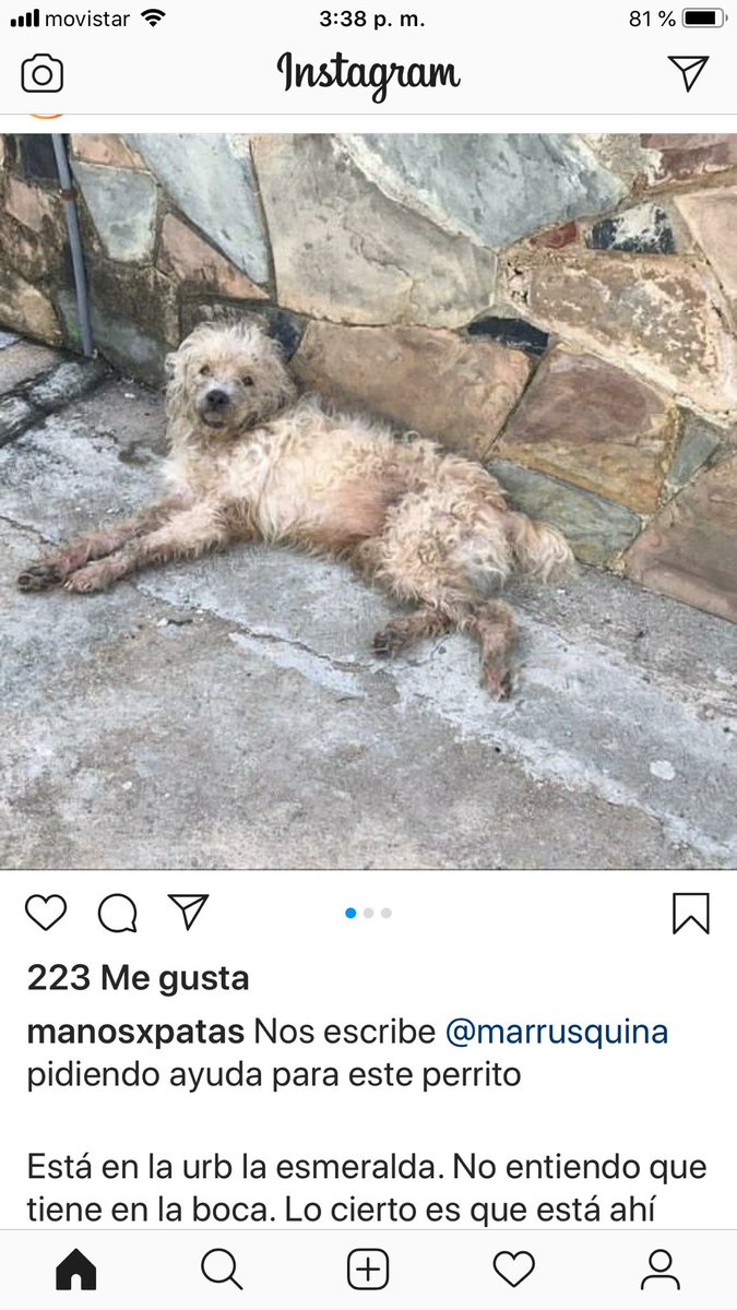 PerroUsuario's tweet photo. #AYUDA RT @liliakunaizeh: AYUDA URGENTE POR FAVOR! 🙏 Este perrito se encuentra en la Urbanización La Esmeralda, San Diego, Carabobo! Esta muy mal y no se sabe que tiene en la boca! Por amor de Dios en la zona, URGE RESCATE! Contacto: 0424-8961022 💔😥🙏  https://t.co/mjqF0SPH8h