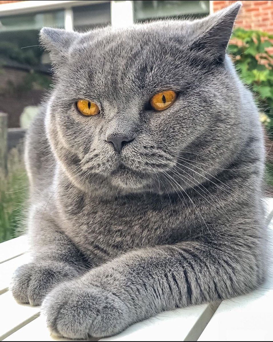 ty (@tyniz) on Twitter photo 