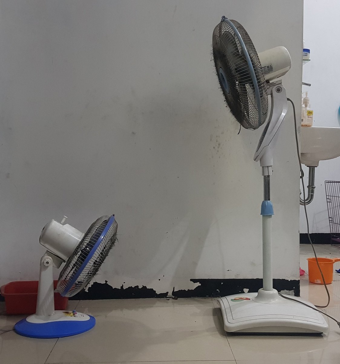 ini udah gak sekali dua kali loh mama ngomong