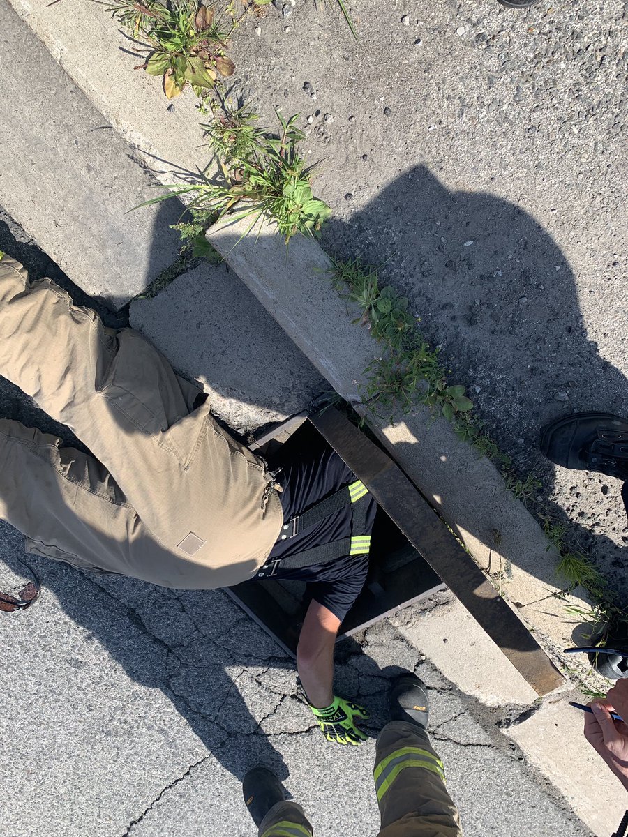 PeelPolice's tweet photo. Ducklings 🐥 in distress
Heart Lake/Bovaird #Brampton
All have fallen into sewer grate, mother stands by waiting for help.
@BramptonFireES and #PRP quickly arrive to render assistance. She waits as each is brought up. 
All are happily reunited.
P200234581 C/R 10:32am https://t.co/bjYqPQSwRa