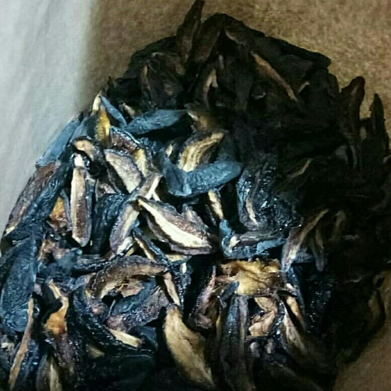 atcostel's tweet photo. Dehydrating plums! From 100 kg fresh, dry are 18 kg. Home made dry fruits! #dryfruits #dehydratedfood #foodforwinter #plums #dryplums #frutarian #vegan #rawvegan #vegetarian #permaculture #countryside #sustainableliving #atcostel #guesthouse #moldova https://t.co/O7o0ODucT2