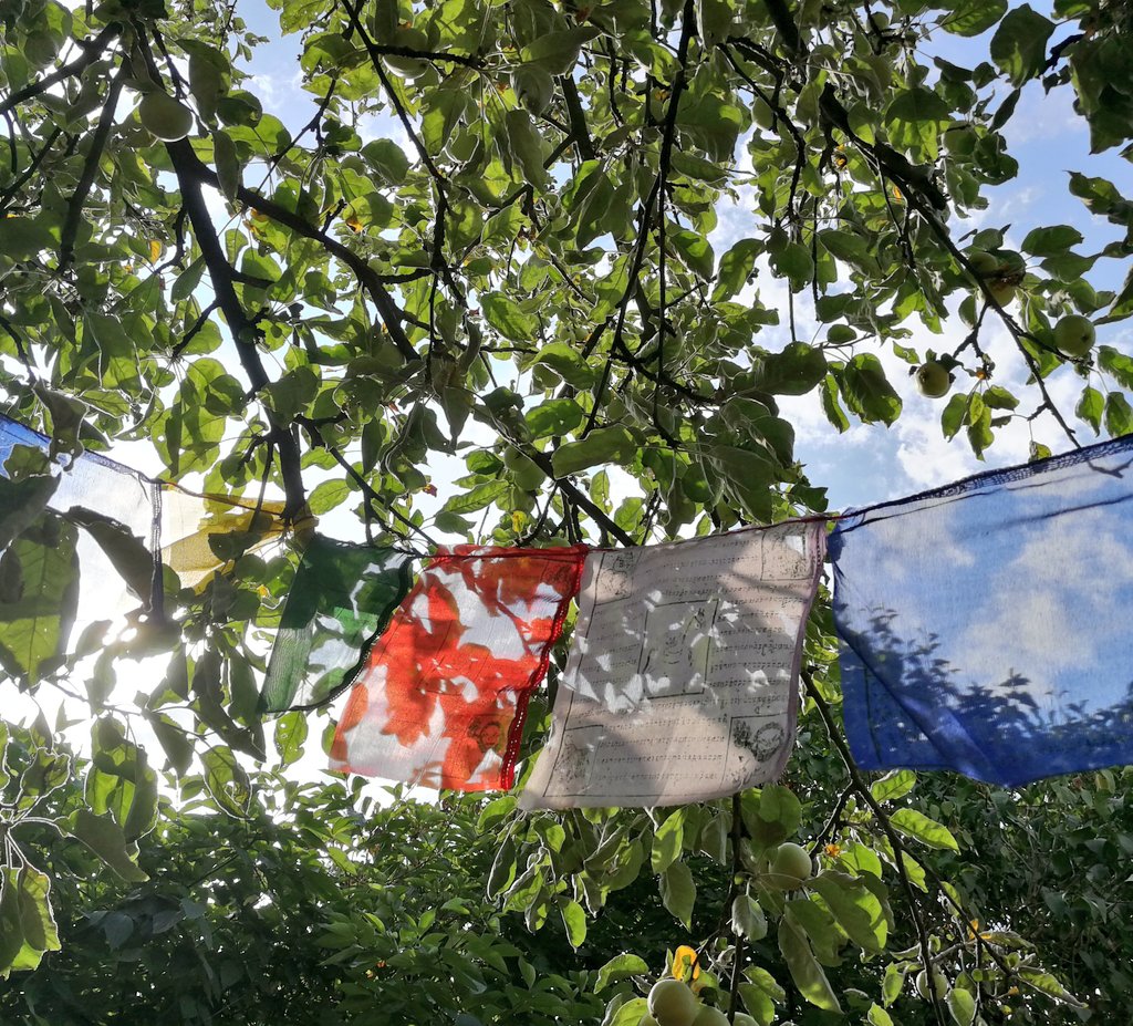 Weekend and hamock is the best combination #chill #relax