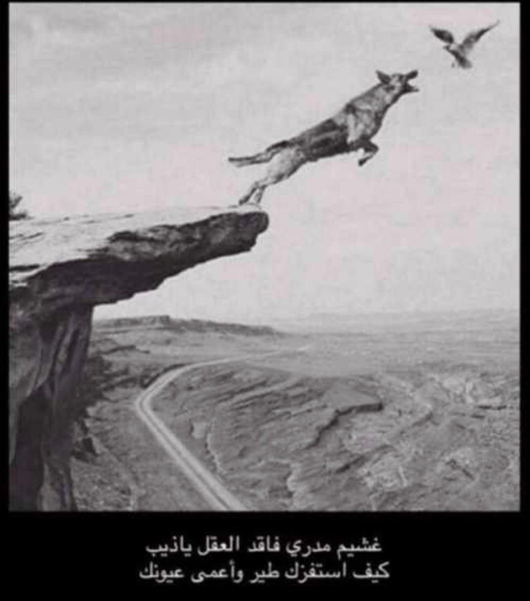 Al Muhalab Al Hinai (@almuhalab2001) on Twitter photo 