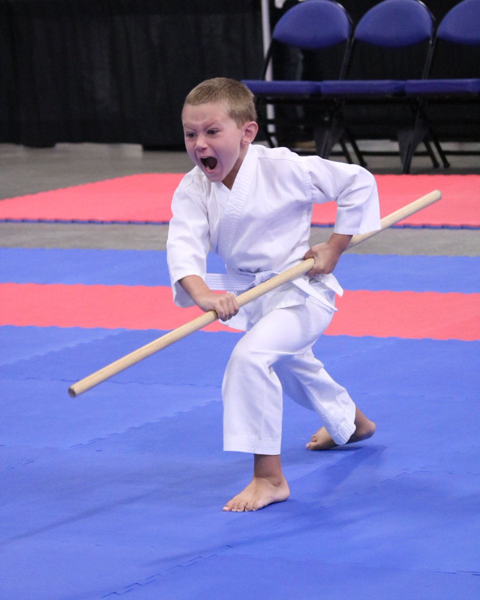 TheRealAAU's tweet photo. Let me hear you scream! 7 Days away from the karate competition for #AAUJROGames in Space Coast, FL! @scaaujo 

#AAUSports #AAUKarate #WeAreAAU #AAUKarateStrong https://t.co/4wR25egzU3