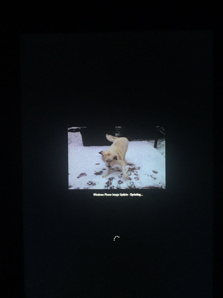 gus33000's tweet photo. @WindAesthetic @h0x0d If I remember well Windows Phone 8 builds of the time also included this for NFC contact sharing instead of the final sound. Builds at the time used the following boot screen during software updates. This bootscreen was made by jbouffar at Microsoft and remained for a while. https://t.co/VR1buOPn2S
