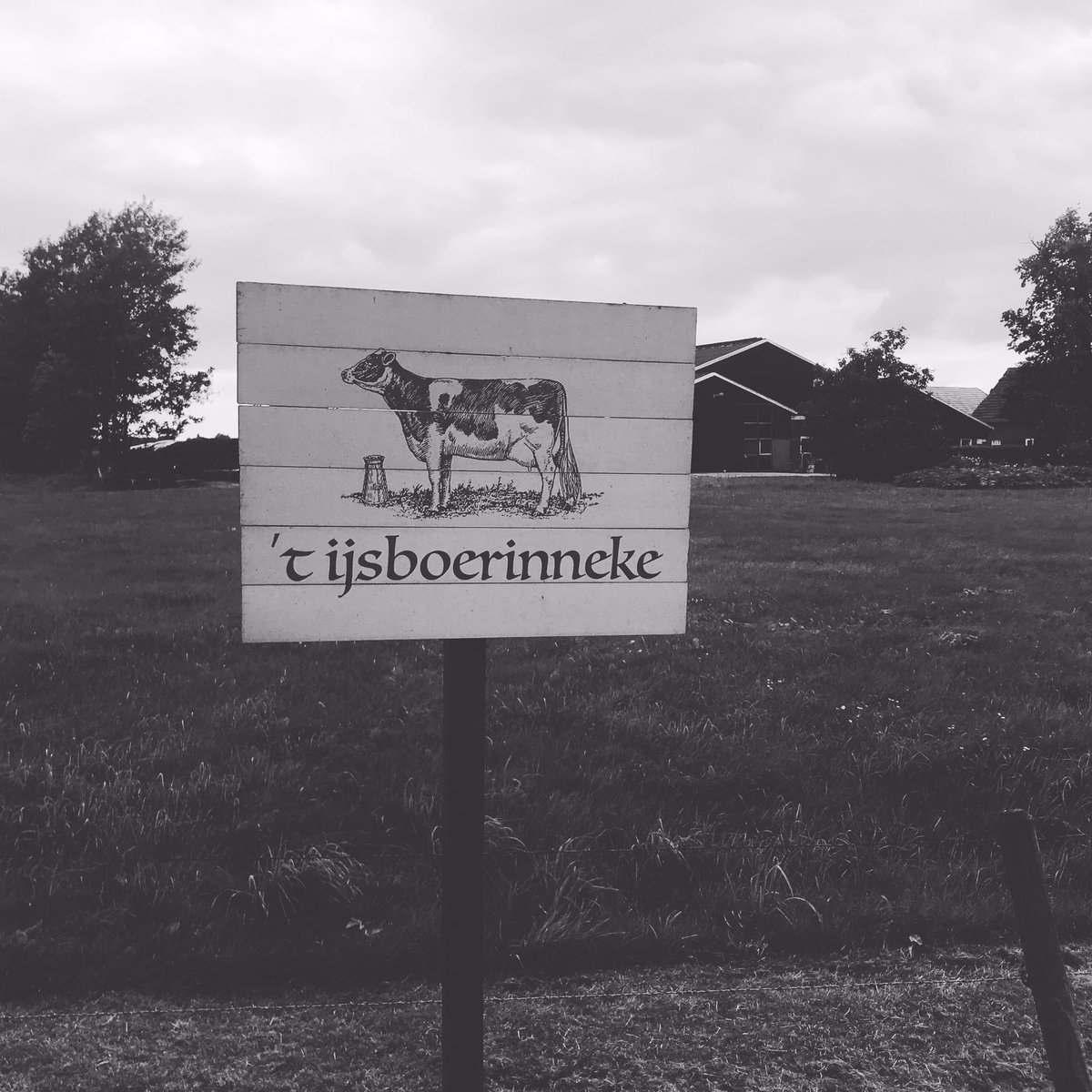 Concurrentie moet er zijn 😄
#ijsboerke #pleziervanhier