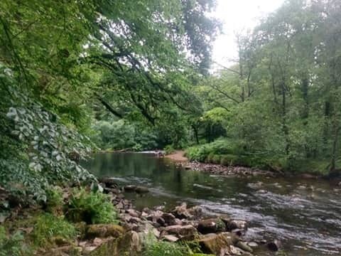OT__adventures's tweet photo. As all graduations are cancelled this summer, my fellow preceptees and I decided to graduate in our own way; Devon style. Starting with a swim in the gorgeous River Dart followed by a bbq on the beach in the rain 😆I feel so lucky to be starting my OT career here #Graduation #OT https://t.co/TNs0WiS9WH