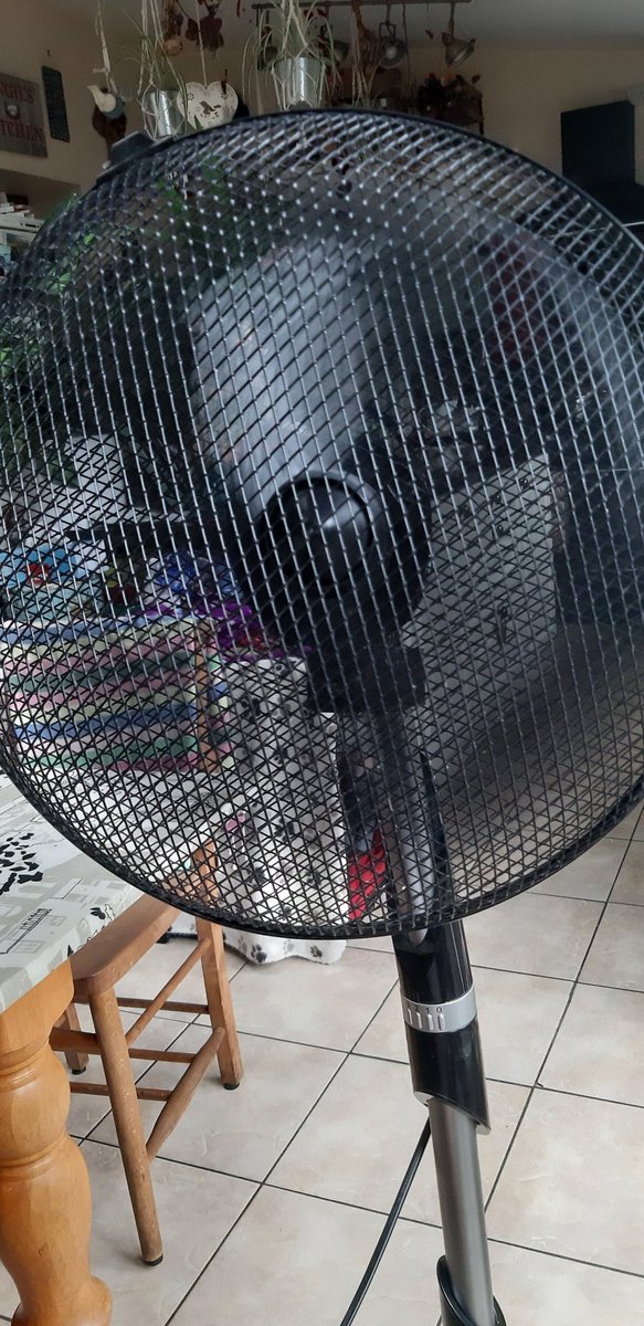 angieleach's tweet photo. Today has redeemed itself. I mended a fan. #notwasted #success https://t.co/blOa14t08u
