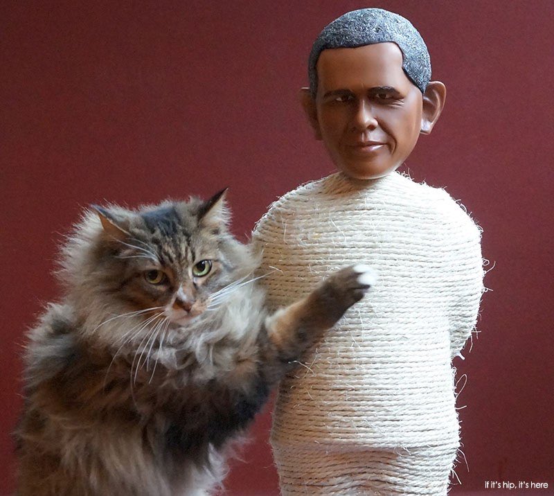 BamaFact's tweet photo. If I got a cat I’d name him Purrsident FurBama.  

#Caturday #politikats #bamafact https://t.co/RXrJGCRA5p