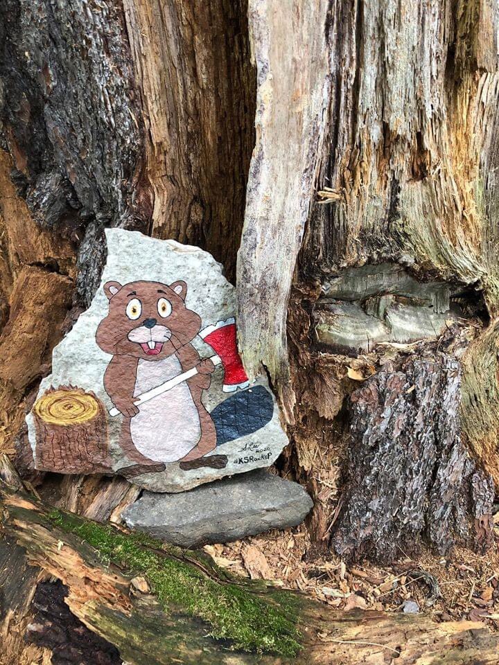 Kanatarocksprjt's tweet photo. Local Kanata North neighbour, Shawna, discovered the wonders of rock painting this summer. She’s been on a roll and has painted countless rocks for the community to enjoy! Have you seen any of her work in the neighbourhood? Let us know! 🥰 https://t.co/siLJgSHnQL
