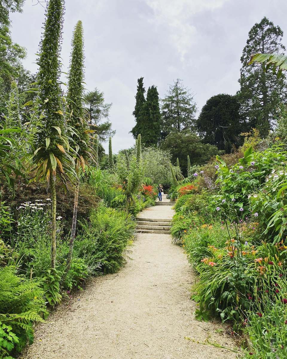 Cfulvio's tweet photo. If you haven’t been to Kilmacurragh Gardens, pack a picnic and head down to us in #wicklow 
It’s a magical place, brimming with colour - you can picnic here, bring the dog &amp; it’s heaven for kids! 
All guests staying in our self catering here @BallyknockenHCS have raved about it! https://t.co/wPG1Aa1sf3