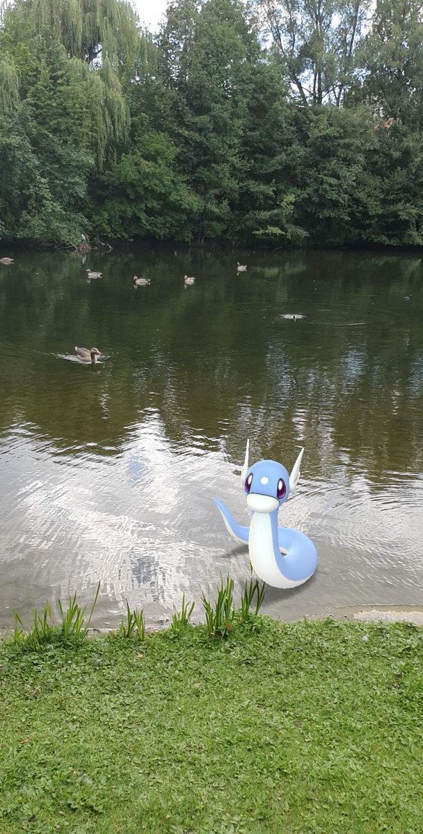 MartinezMoritz's tweet photo. #PokemonGOFest2020 https://t.co/0GhVhwF8Er