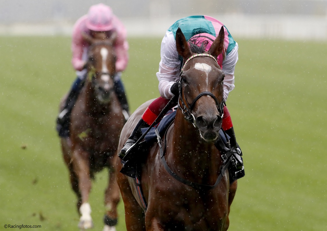 King george and queen elizabeth stakes 2022 bettingadvice King george and queen elizabeth stakes 2022 bettingadvice free crypto lottery