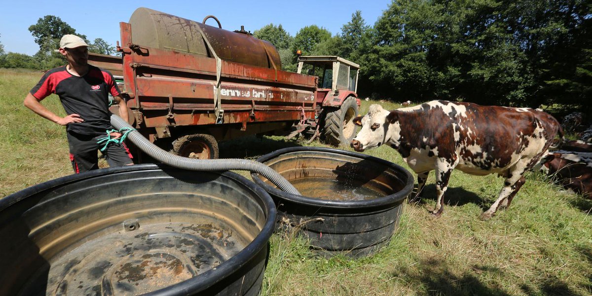 leJDD's tweet photo. TRIBUNE. L'appel de 35 députés de la majorité : "Face à l'agribashing, soutenons nos éleveurs!" https://t.co/IbOgiARn2M https://t.co/Ktgww0BbuY