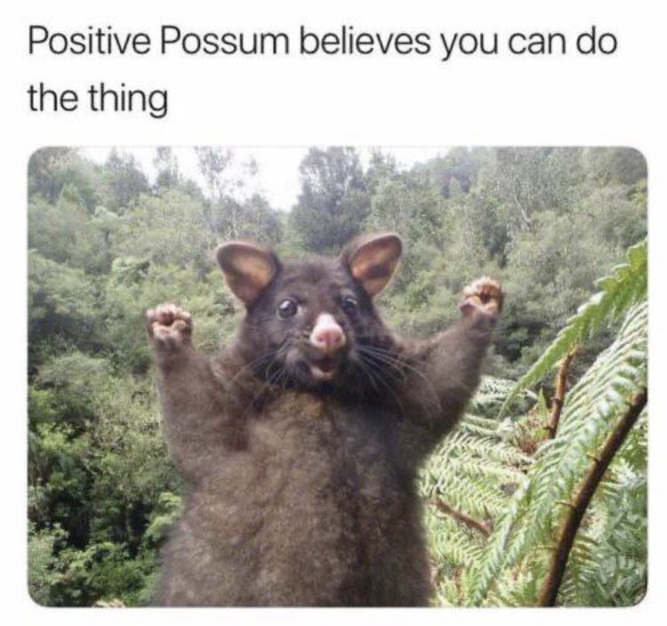 WholesomeMeme's tweet photo. https://t.co/pzxaS3Xk3O