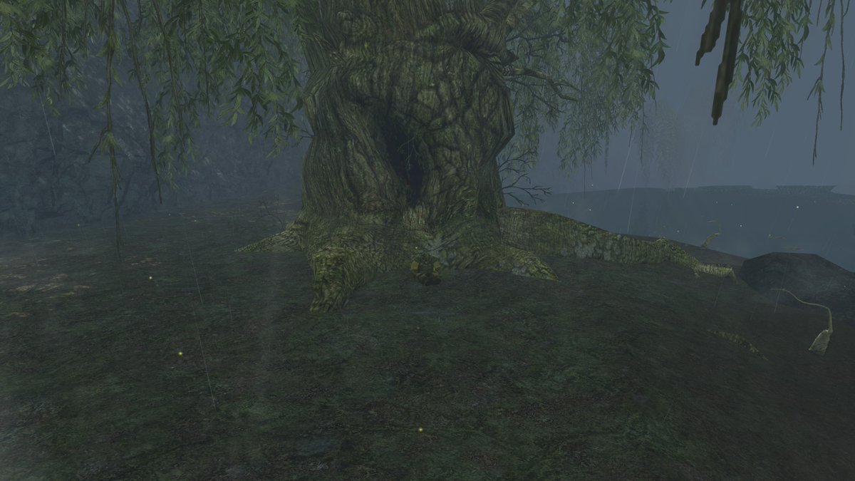 assarandir's tweet photo. And back in the misery, time to take nap at Old man willow ;-) @lotro #lotro #LordOfTheRings @lotrofamily #lotrofamily https://t.co/hQuiRj3gYU