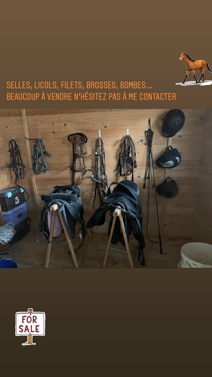 faustarbb's tweet photo. Affaires équitation!!!
À vendre partagez pour faire profiter les intéressés 🐴🐴 https://t.co/TTNR4be2a7
