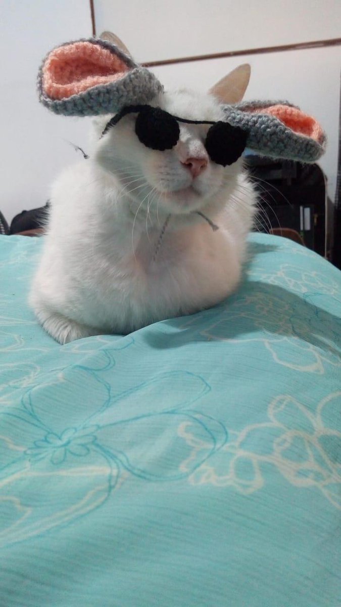 lauracetamol's tweet photo. me dijo "send nudes" y yo le mostré mí top 3 de ropita que le hice a lxs gatitxs que tuve en provi. me puse a llorar y él se burló. quería ver la desnudez de mi cuerpo; yo, tonta, le mostré la desnudez de mi alma. https://t.co/k6uB3t7Xkc