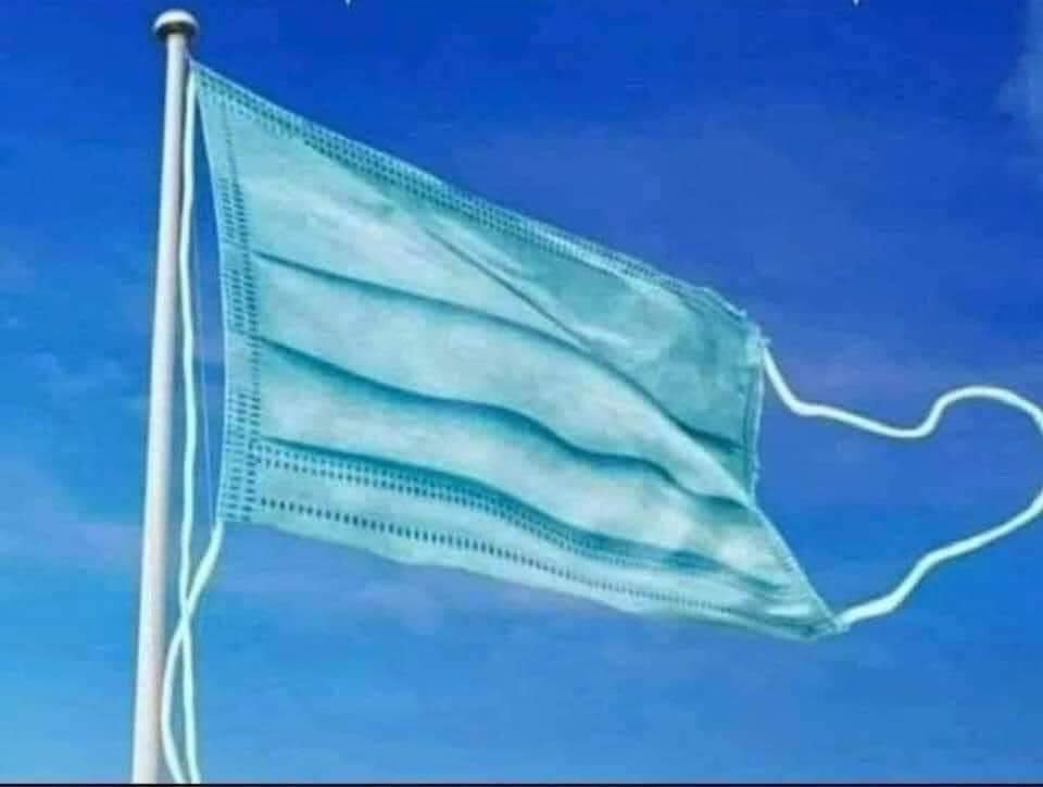 CauseWereGuys's tweet photo. The official flag of 2020 https://t.co/0lQNgCXfOh