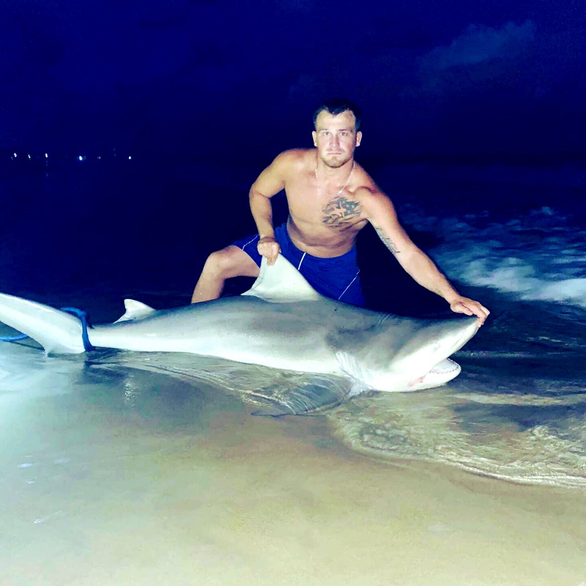bell1325's tweet photo. Doing what we love to do 🦈🤙🏻 #bullshark #blacktip #catchandrelease https://t.co/w6JpLecB0h