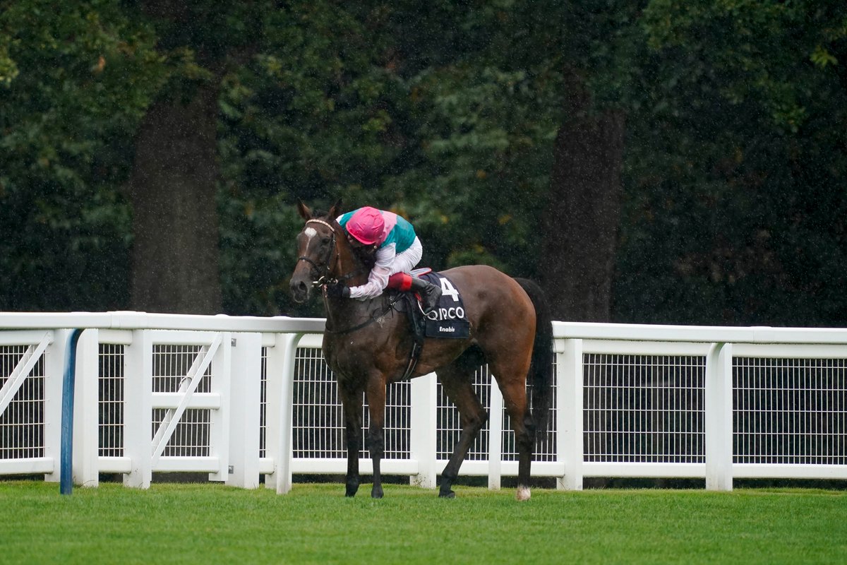 Ascot's tweet photo. This kind of love!
 
Best partnership to grace the turf?

#KingGeorge #Ascot #GoEnable https://t.co/fra3m6dlUa