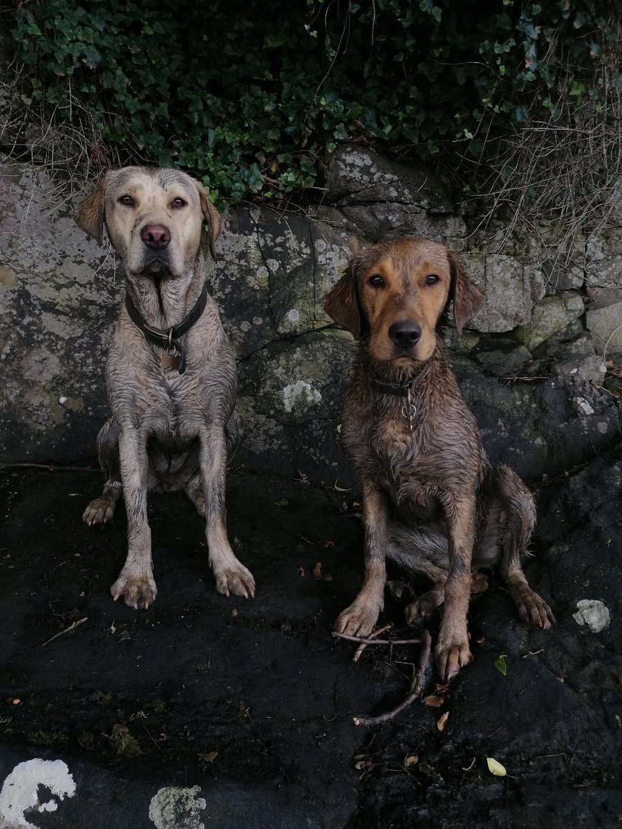 #BlairEverywhere This was supposed to be an ice cream hike but ended up #muddymuddymuddy 
<a href="/15thFifeScouts/">Freuchie Scout Group</a> <a href="/BAJamborette/">Blair Atholl Jamborette</a> <a href="/ScoutsScotland/">Scouts Scotland</a> 😄⚜️🏴󠁧󠁢󠁳󠁣󠁴󠁿