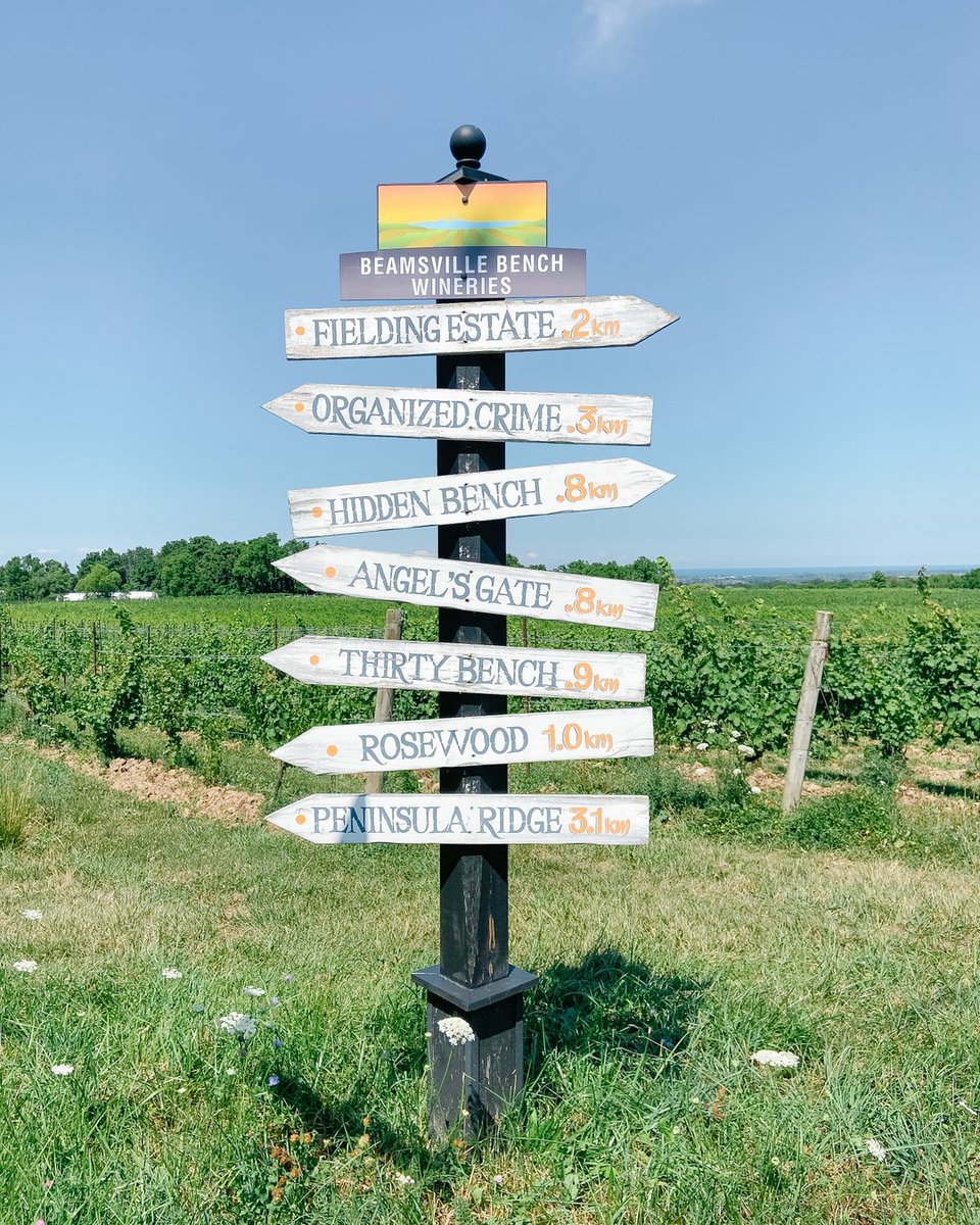 It's Saturday, sunny and the options are endless! Welcome to the Bench wine region. 🍇

We offer a variety of wine tours in the Twenty Valley area to meet your needs. Are you a fan of red, white, rose, bubbly or (like us) all the above?!  🥂

Let us take the stress of organiz