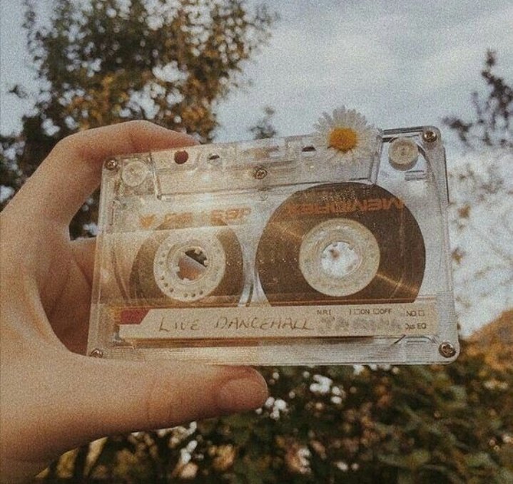 gєя✿ | tweet media