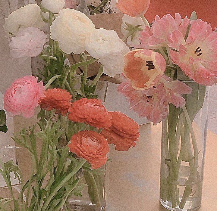 gєя✿ | tweet media
