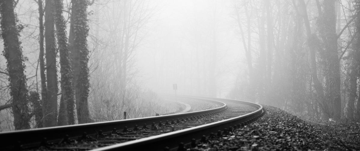 eagle2186's tweet photo. They say there awaken but stay in the fog of beliefs. https://t.co/mpVdKNiwch