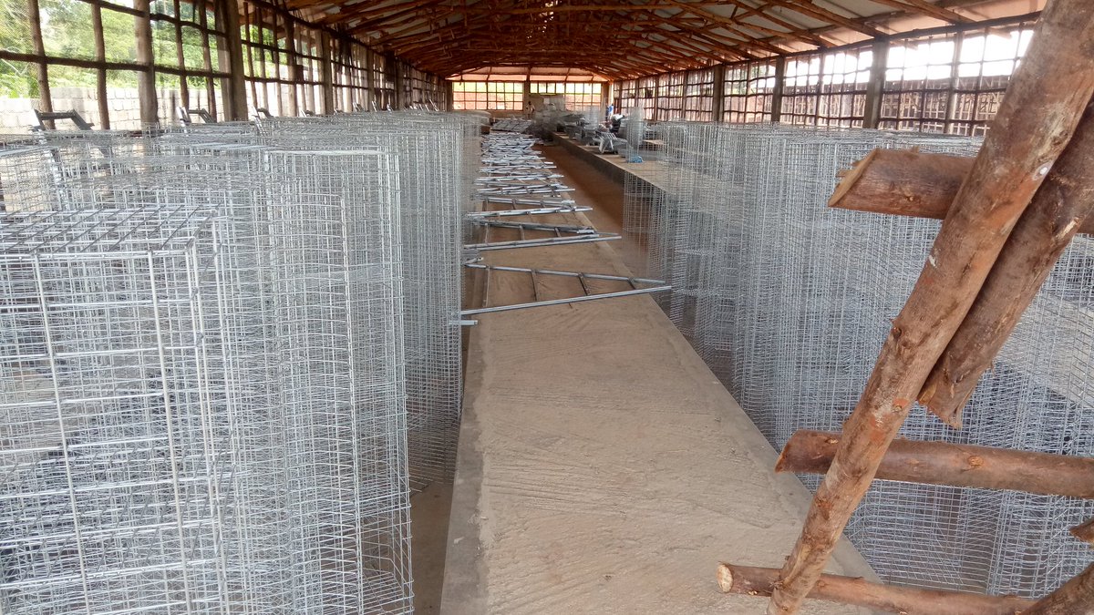 poultrycagesug's tweet photo. Our Team is already in Buikwe to install cages and this system is going to be a beautiful one because every thing is going to be automatic and the chicken poop will be put In the dewatering machine and turned into fish and piggery feeds .....
Contact us on +256758422007 https://t.co/rLA12tL9LF