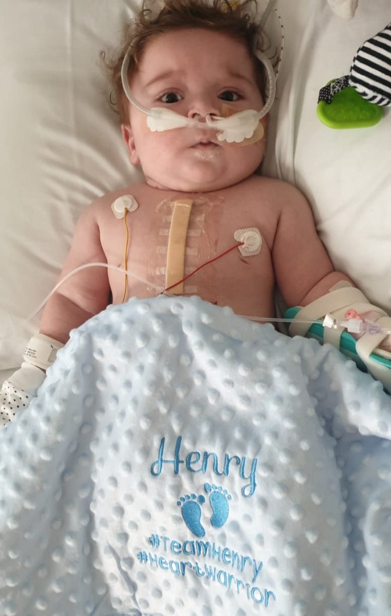 jamesellis124's tweet photo. Proud parent post.
Henry has today moved back to a ward from ICU. He is doing well and the surgeons are happy with progress.
He is our Heart Warrior so proud of him. 
Thank you for all the support and messages, myself and vicky
#TeamHenry #HeartWarrior #halfaheartnothalfalife https://t.co/vLTrAE3U4z