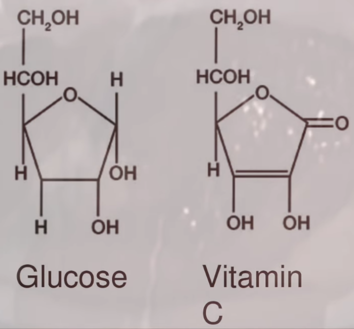 The similarity between the Vitamin C and glucose cannot be understated, as they say, "a picture is worth a thousand words":