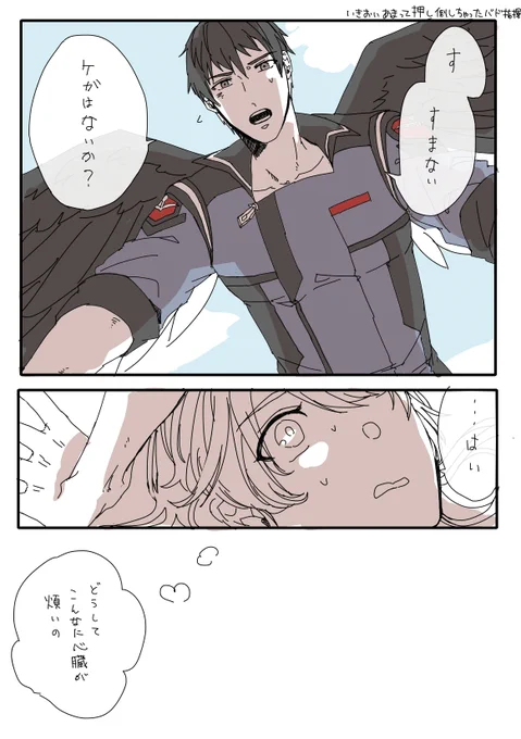 押し倒す(バド×モブ指揮官) 